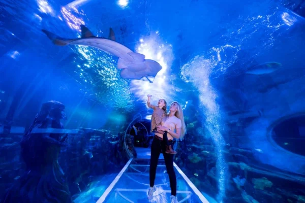 National Sea Life Centre Entrance Ticket
